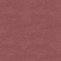 Seamless Textures of Wall Stucco